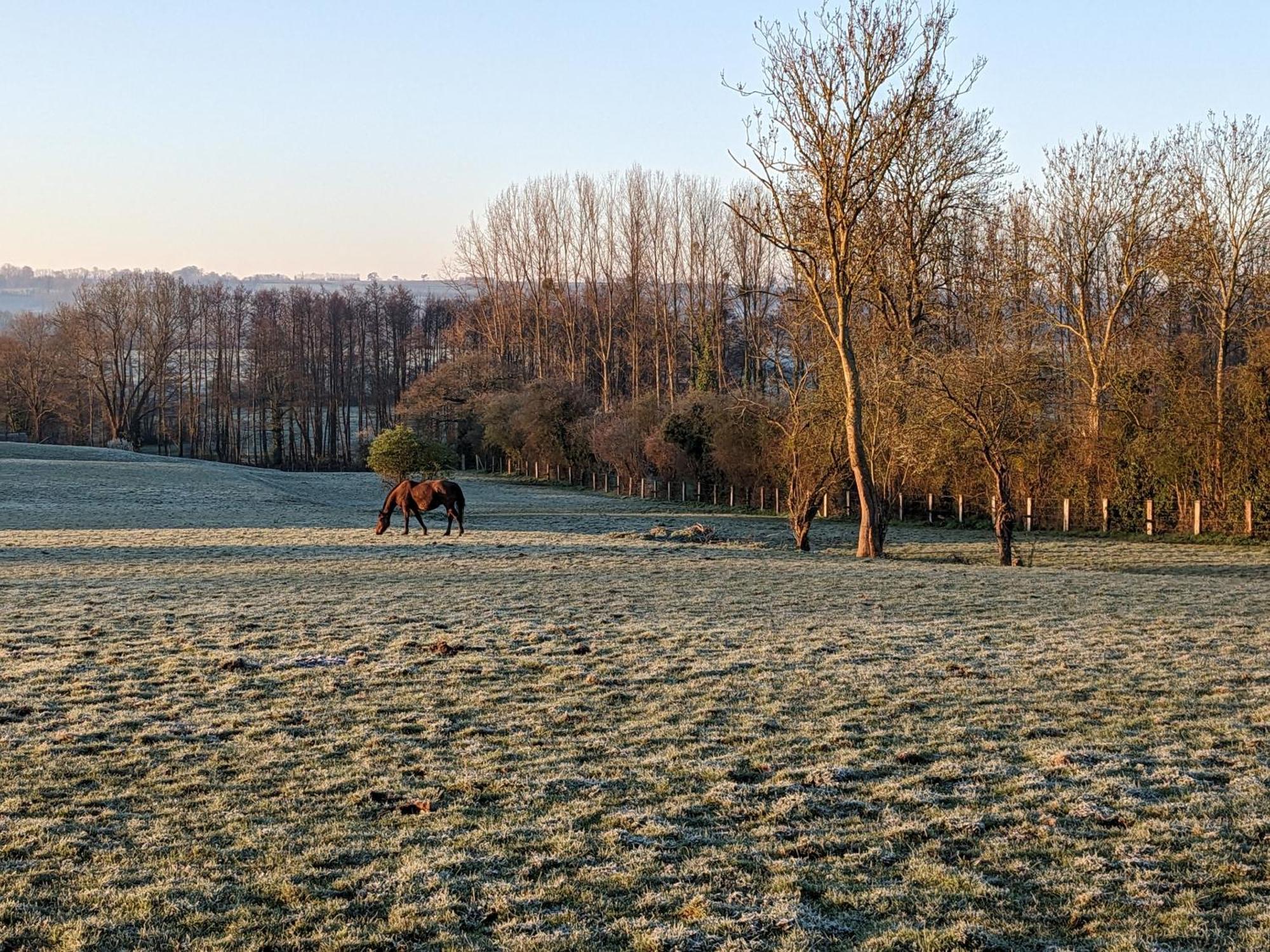 Отель Le Haras D Havetot Anctoville Экстерьер фото