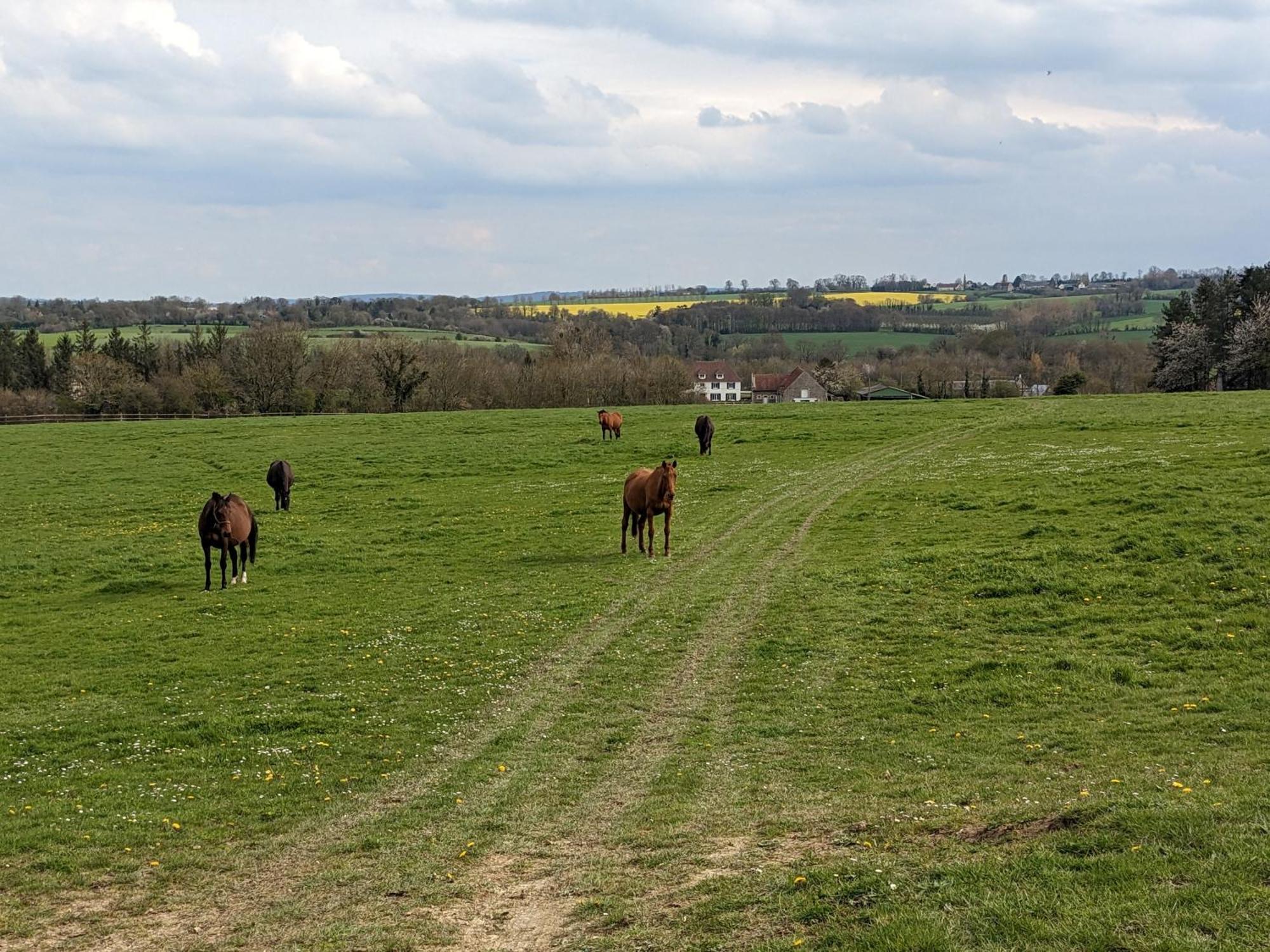 Отель Le Haras D Havetot Anctoville Экстерьер фото